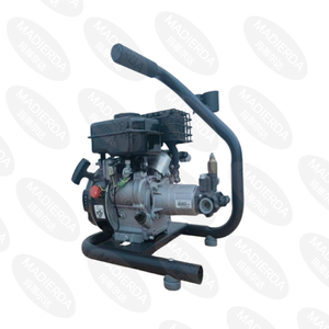 Gasoline Engine High Pressure Washer