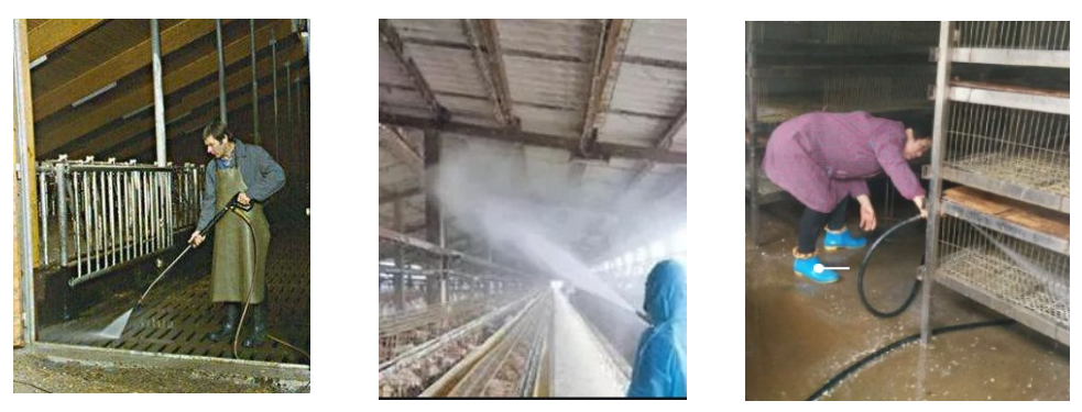 62a753be-5b8f-44f0-ba70-742cb45b96ce